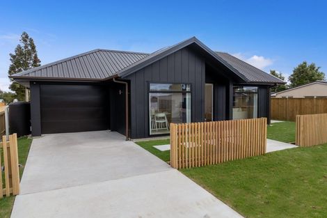 Photo of property in 19a Shelley Street, Leamington, Cambridge, 3432