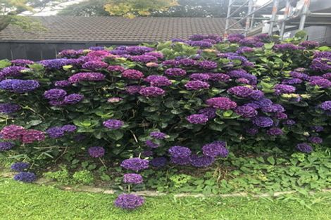 Photo of property in 317 River Road, Claudelands, Hamilton, 3214