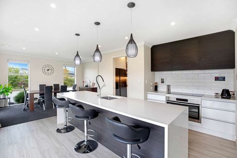 Photo of property in 133 Jimmy Adams Terrace, Lincoln, 7608