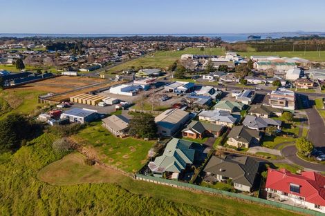 Photo of property in 16 Donegal Place, Katikati, 3129