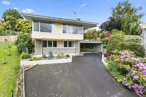 Photo of property in 14 Hatfield Street, Opoho, Dunedin, 9010