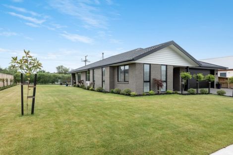 Photo of property in 6 Harvard Road, Burleigh, Blenheim, 7201