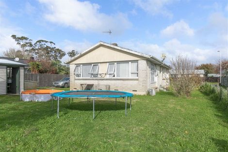 Photo of property in 21 James Henry Crescent, Huntly, 3700