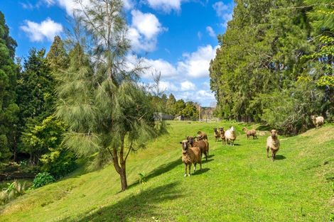 Photo of property in 406 Wright Road, Matakana, Warkworth, 0985