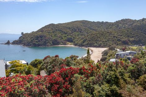 Photo of property in 24 Little Bay Drive, Waikawau, Coromandel, 3584
