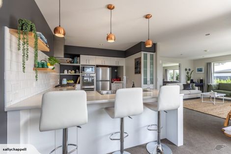 Photo of property in 16 Istana Place, Britannia Heights, Nelson, 7010