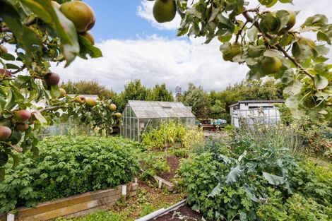 Photo of property in 19 Whio Avenue, Feilding, 4775