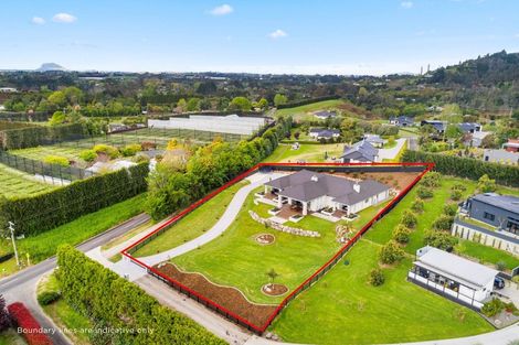 Photo of property in 156a Munro Road, Minden, Tauranga, 3179