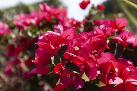 Photo of property in 105 Waterfall Road, Paraparaumu, 5032