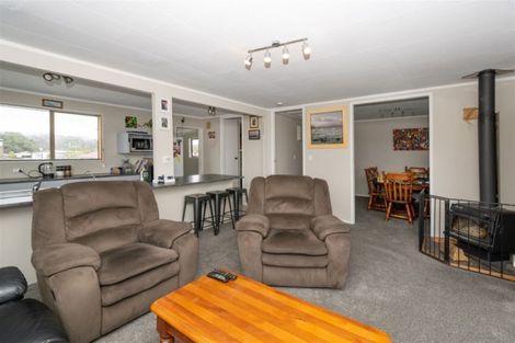 Photo of property in 29 Clyde Street, Renwick, 7204