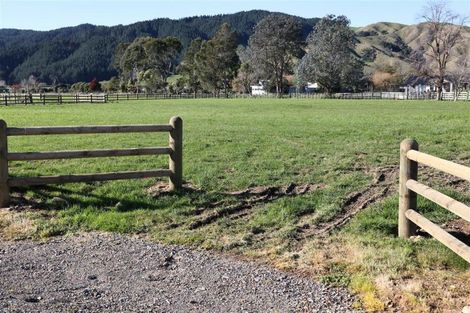 Photo of property in 431 Tararua Road, Levin, 5571