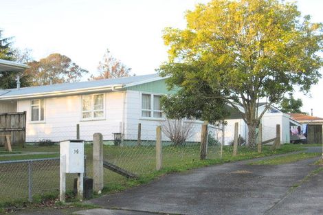 Photo of property in 16 Chamberlain Place, Chartwell, Hamilton, 3210