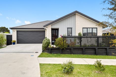 Photo of property in 20 Pragma Rise, Rototuna North, Hamilton, 3210