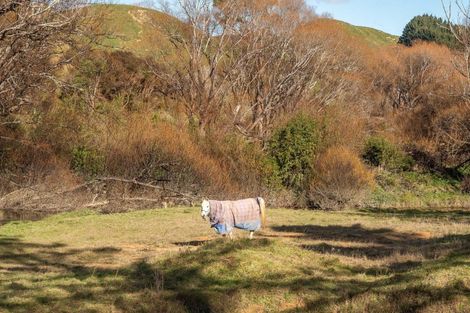 Photo of property in 10 Station Road, Mauriceville, Masterton, 5882