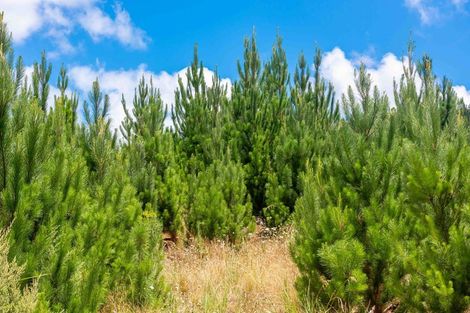 Photo of property in 147 Taita Road, Waimamaku, Kaikohe, 0473