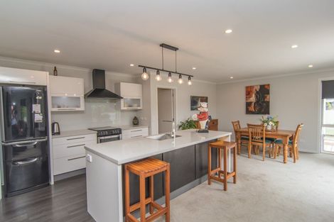 Photo of property in 72 Te Ngawai Road, Pleasant Point, 7903