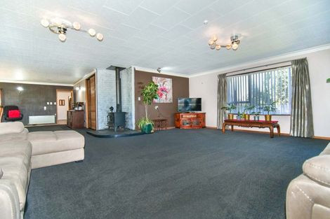 Photo of property in 17 Henley Street, Westport, 7825