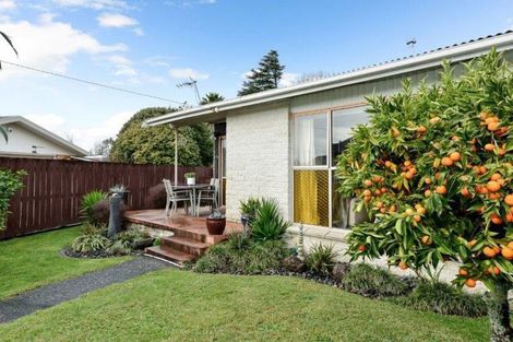 Photo of property in 31a Hobson Street, Maeroa, Hamilton, 3200