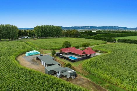 Photo of property in 164 Otakiri Road, Edgecumbe, Whakatane, 3192