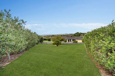 Photo of property in 12 Omana Avenue, Shelly Beach, Helensville, 0874