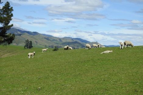 Photo of property in 73 Gibbs Valley Road, Wakefield, 7095