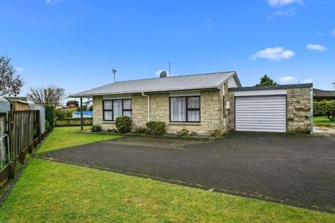 Photo of property in 1/12 Buchanan Street, Matamata, 3400