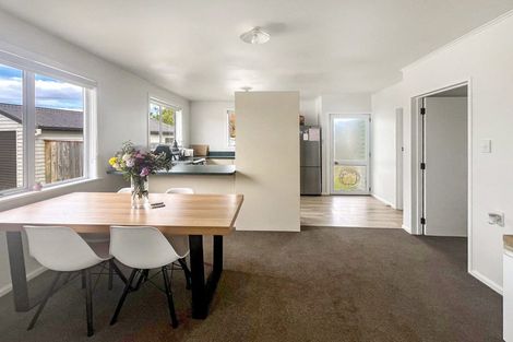 Photo of property in 42 Pharazyn Street, Feilding, 4702