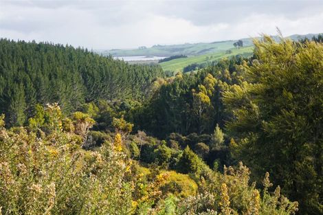 Photo of property in 567 Wharehine Road, Wharehine, Wellsford, 0973