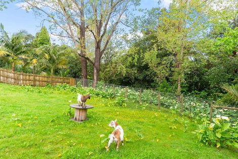 Photo of property in 20 Clyde Street, Dargaville, 0310