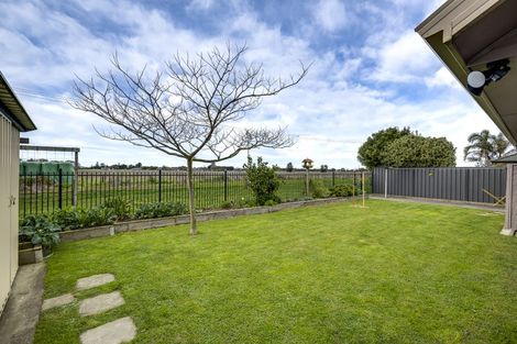 Photo of property in 17 Mcnaughton Place, Onekawa, Napier, 4110