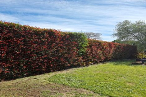 Photo of property in 23 Crisp Avenue, Pukekohe, 2120