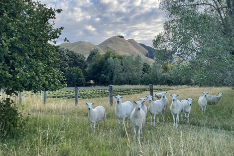 Photo of property in 124 River Terrace Road, Brightwater, 7091