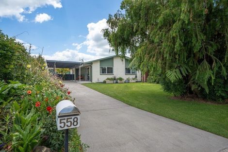 Photo of property in 558 Picquet Hill Road, Te Awamutu, 3800