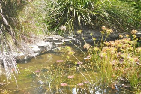 Photo of property in 684a Thames Coast Sh25 Road, Ruamahunga, Thames, 3575