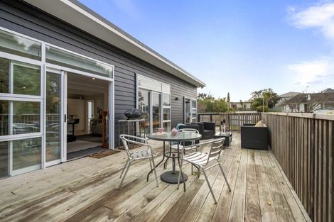 Photo of property in 39 Rainforth Street, Roslyn, Palmerston North, 4414