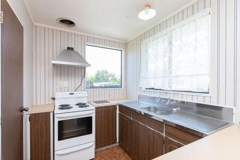 Photo of property in 45 Alison Street, Hamilton Lake, Hamilton, 3204