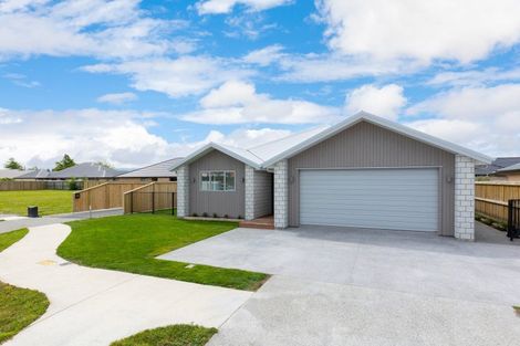 Photo of property in 62 Whareatea Road, Redwoodtown, Blenheim, 7201