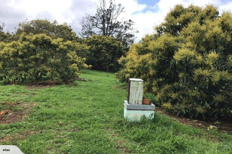 Photo of property in 704 Ngunguru Road, Glenbervie, Whangarei, 0173