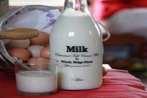 Photo of property in 31 Windy Ridge Road, Benhar, Balclutha, 9272