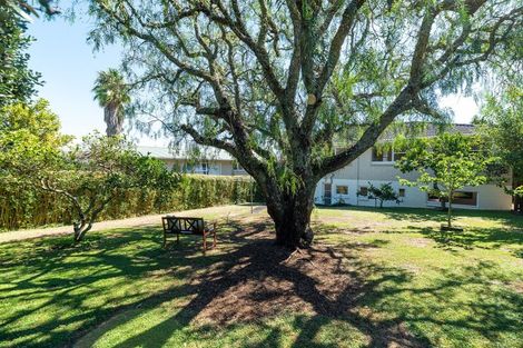 Photo of property in 15 Marywil Crescent, Hillcrest, Auckland, 0627