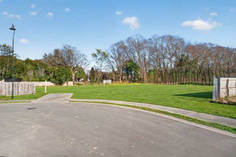 Photo of property in 50 Orchard Road, Greytown, 5712