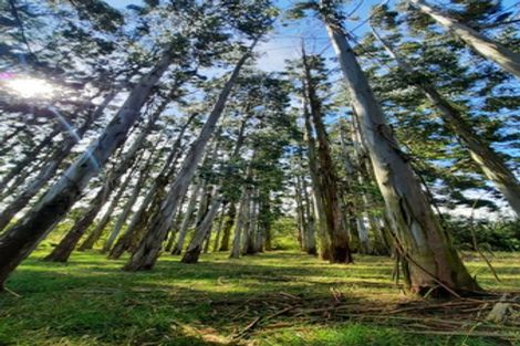 Photo of property in 746 Clutha River Road, Rongahere, Balclutha, 9274