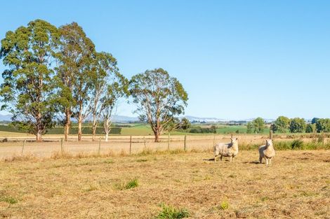 Photo of property in 209 Rosewill Valley Road, Rosewill, Timaru, 7975