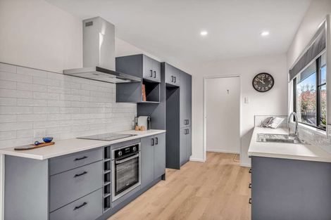 Photo of property in 101 South Town Belt, Rakaia, 7710