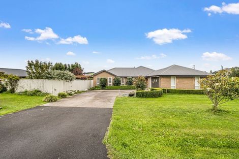 Photo of property in 6 Ormandy Court, Amberley, 7410