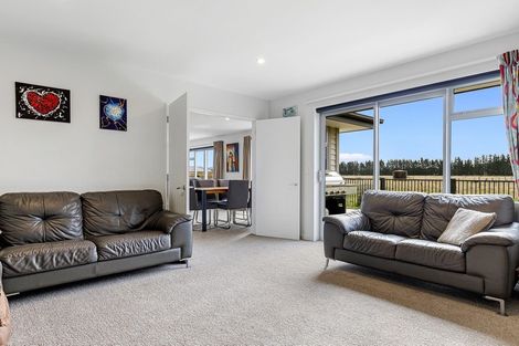 Photo of property in 11 Denton Street, Amberley, 7410