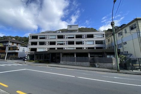 Photo of property in Sharella Living, 20 Glenmore Street, Thorndon, Wellington, 6011