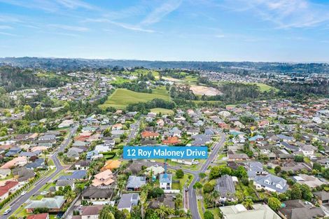 Photo of property in 12 Roy Maloney Drive, Henderson, Auckland, 0612