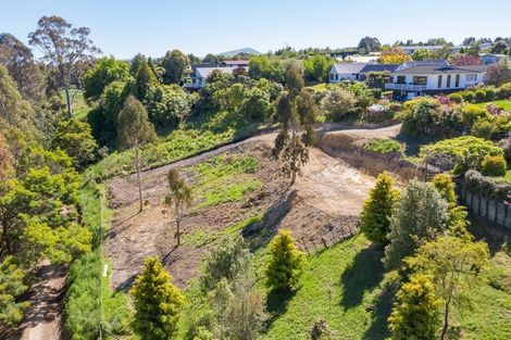 Photo of property in 91 Titoki Street, Lansdowne, Masterton, 5810