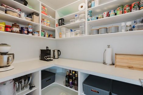 Photo of property in 43 Batten Drive, Flagstaff, Hamilton, 3210